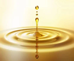 Crude Glycerine Exporter in Uttrakhand